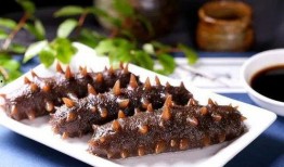 海参养殖爆料视频大全,爆料视频大全深度解析